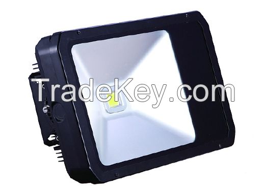 LED Flood Light