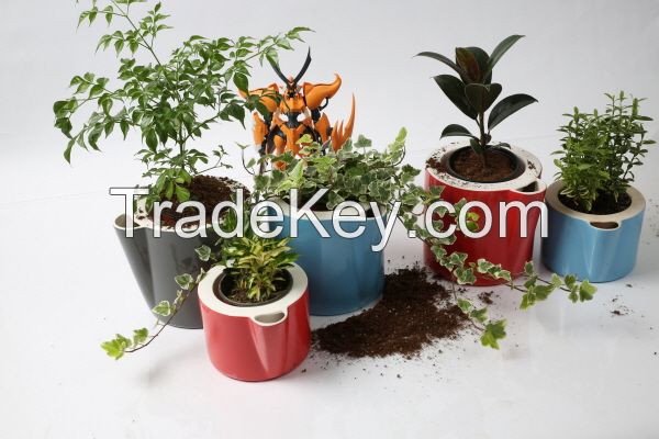 self watering Ceramic flower pot