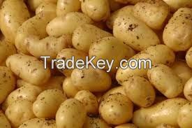 GRADE ''A'' IRISH POTATOES FOR SALE