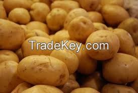 GRADE ''A'' IRISH POTATOES FOR SALE