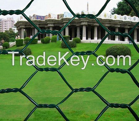 hexagonal wire mesh