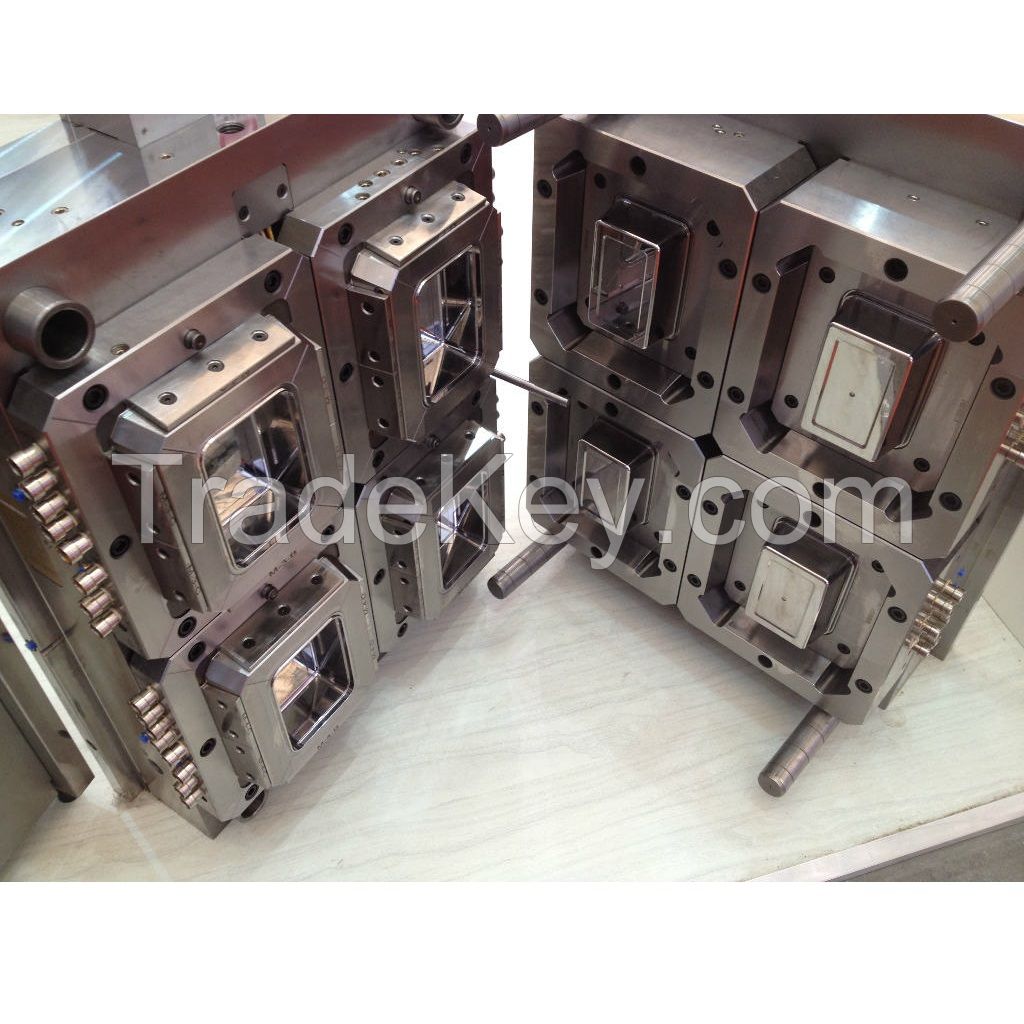 Plastic Injection Mould