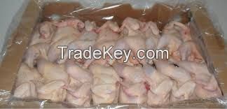 Frozen fresh Halal chicken meat boneless skinless