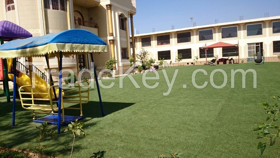 Artificial Grass