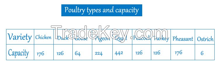 Multifunctional Digital Fully Automatic Chicken Eggs Incubator Machine