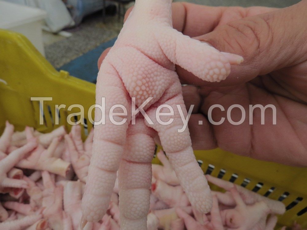 Grade &#039;&#039;A&#039;&#039; Frozen Chicken Paws and Frozen Chicken Feet