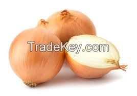 ONIONS