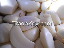 , high quality garlic