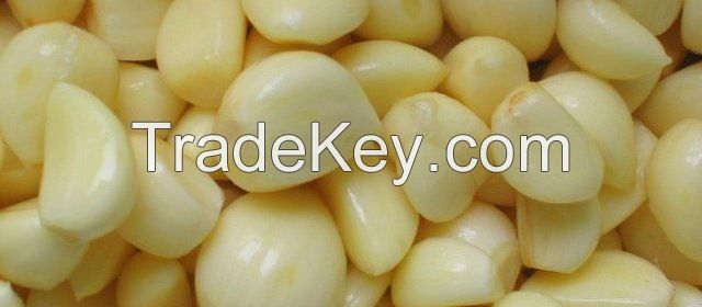 , high quality garlic