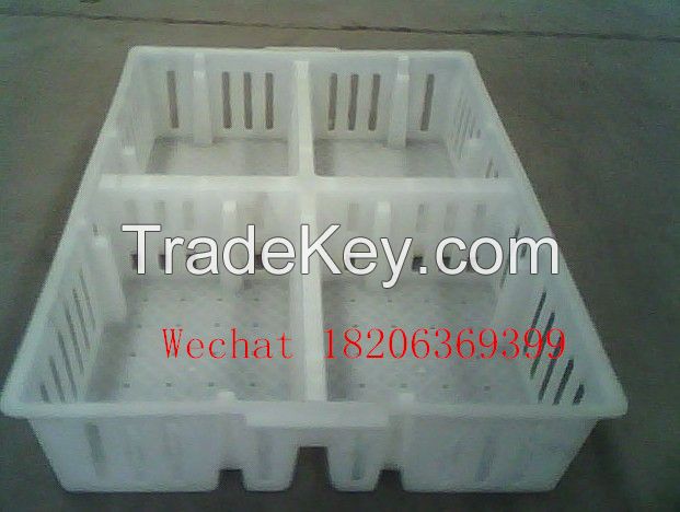 plastic chick transport crate/basket