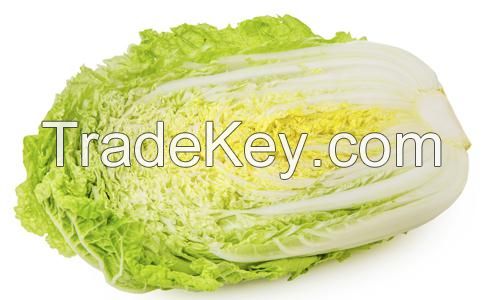 Chinese cabbage