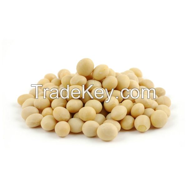 SOYBEAN