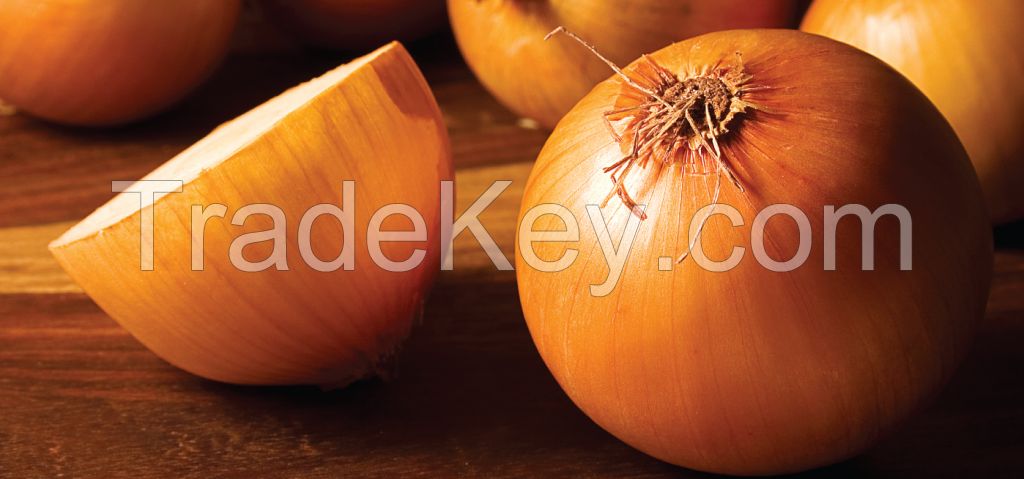 Ultra Fresh Onions For Sale And Export