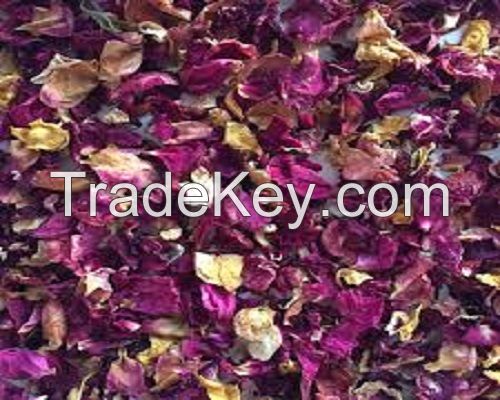 Dry Rose Petals