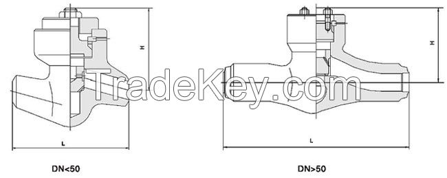 Power plant check valve