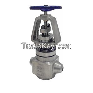 Change the dual core main steam power station globe valve