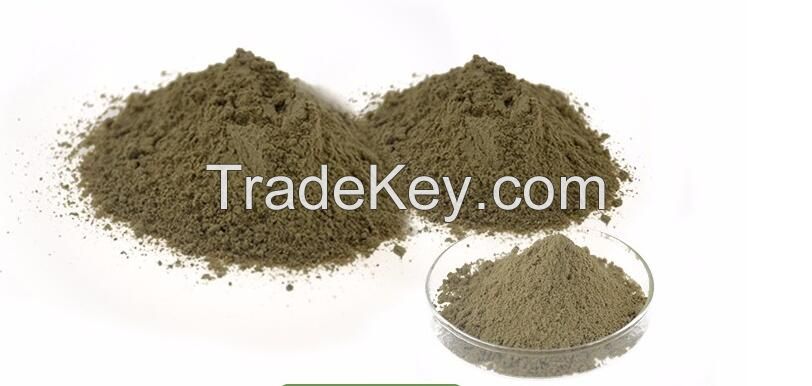 Factory Supply  Feed Additives Bacillus Subtilis