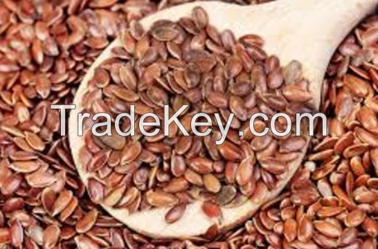 Flax Seeds