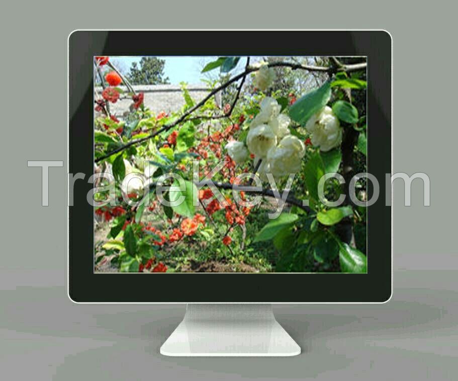 17-Inch New design Apple series  LED TV (Z17A)