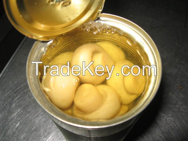 Canned Mushrooms whole