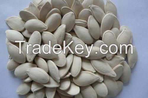 Pumpkin seeds and kernels