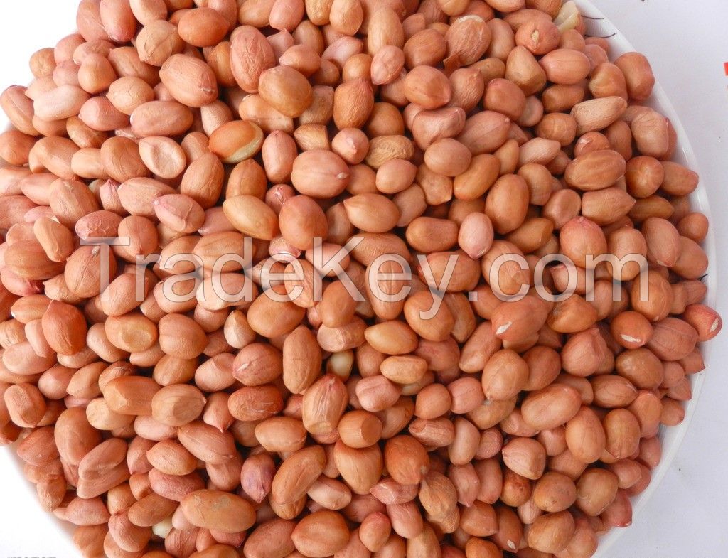 Peanut Kernels