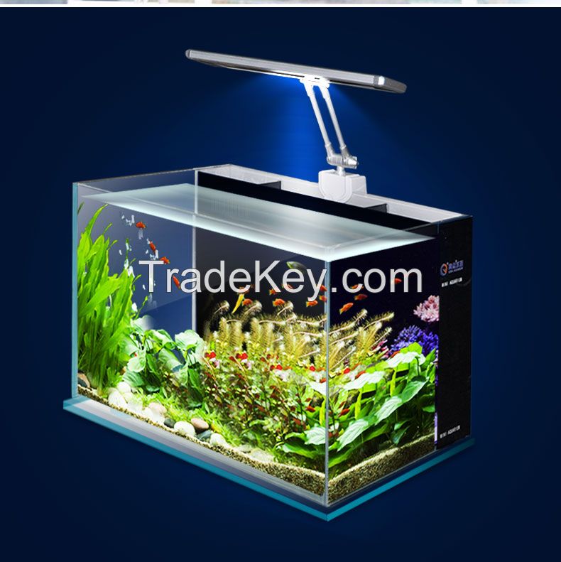 Desk Aquarium