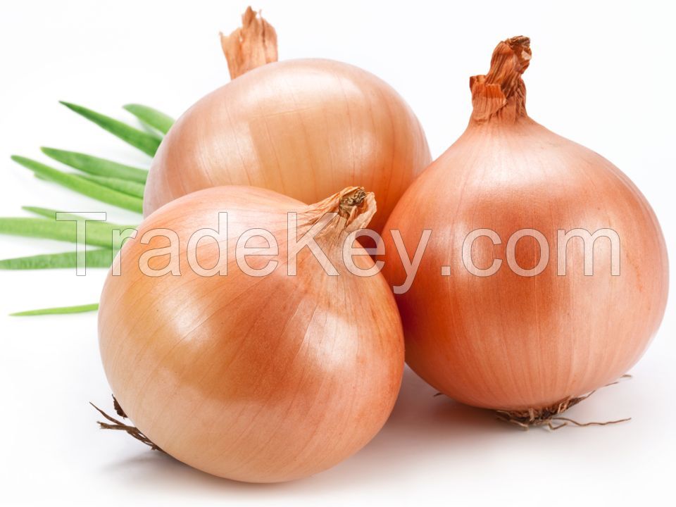 Fresh Yellow Onions