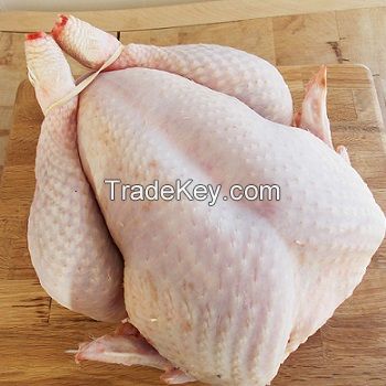 Halal Whole Frozen Chicken and parts