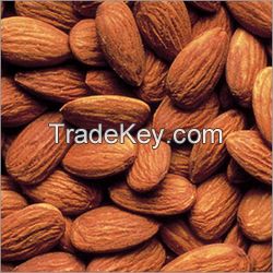 Almonds Seeds