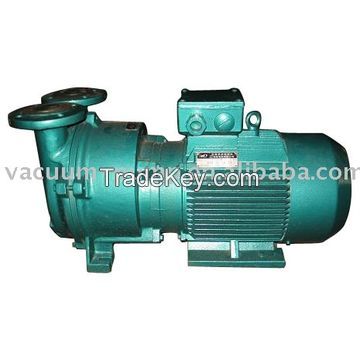 SKA(2BV) series liquid ring vacuum pump