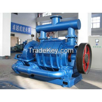 Liquid ring vacuum pump and compressor - 2SAT Cone Type Liquid Ring V