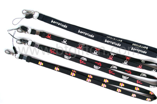 Lanyard