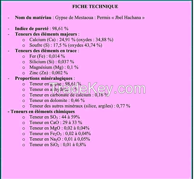 Gypsum of Mestaoua 