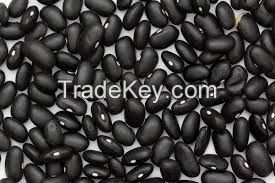 Black Bean