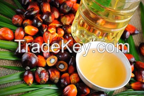 Quality Refined Vegetable Palm Oil CP8