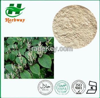 Polygonum Cuspidatum Extract/Giant Knotweed Extract/Resveratrol