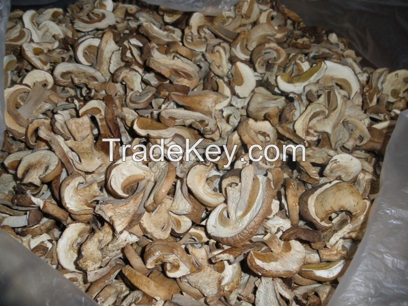 Dried porcini mushrooms