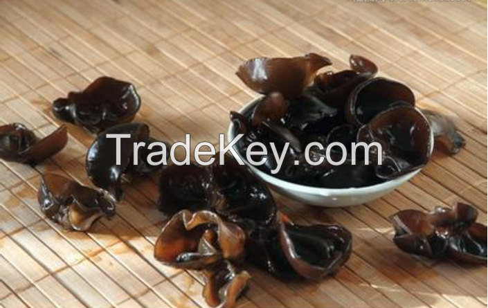 black mushroom Dried Black Fungus mushroom Dried mushroom wood ear