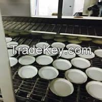 lug lid, glass jar lids, rts lids, lids, metal lids, metal closures, closures