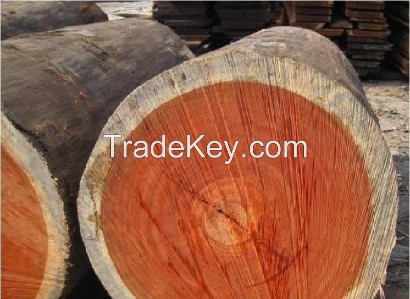 High Quality Cumaru (Brazilian Teak) Boards and Logs