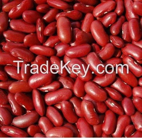 Quality White Kidney beans,Red and Black Kidney beans,Kidney beans.