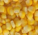 Frozen Sweet Corn