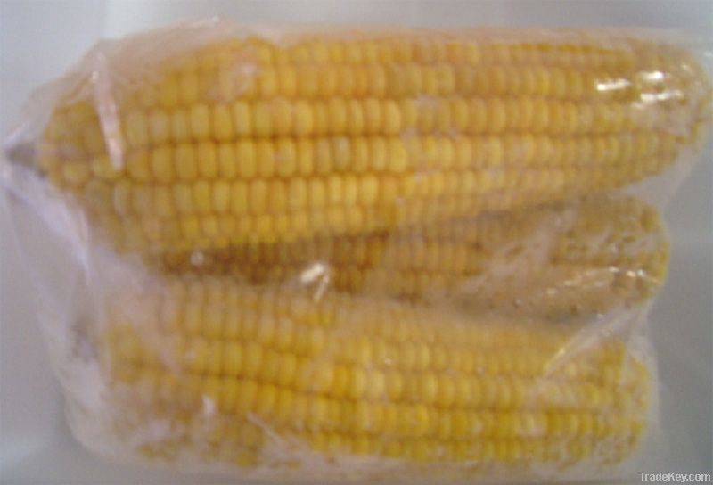 Frozen Sweet Corn