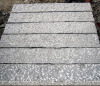 Granite paving stone