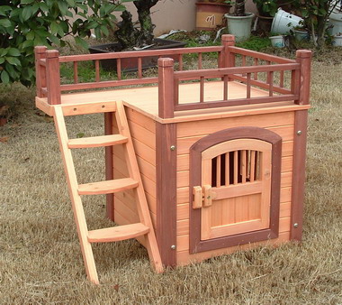 dog house