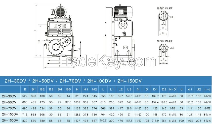 Double Stage Vacuum Impregnation Rotary Piston Pump