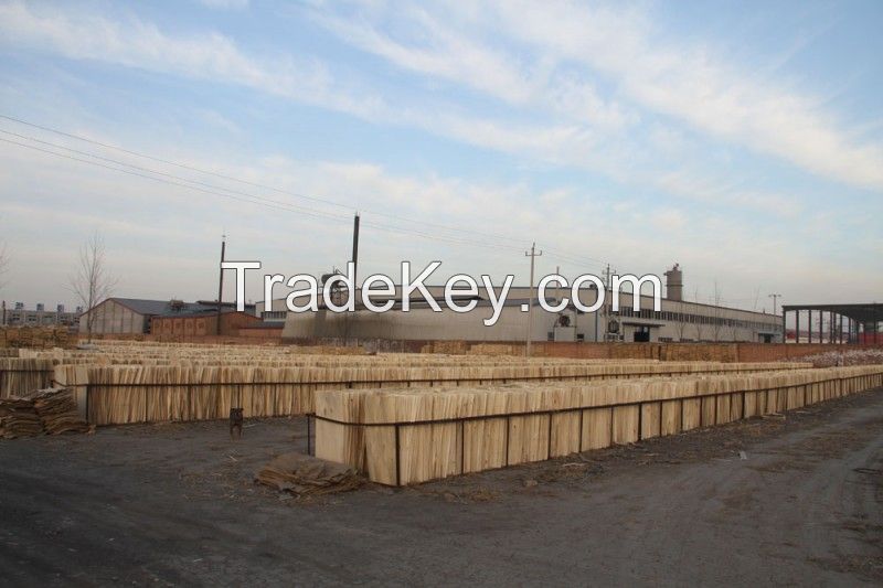 poplar plywood 18mm shuttering film faced plywood