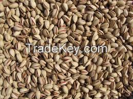 Walnuts wholesale price 