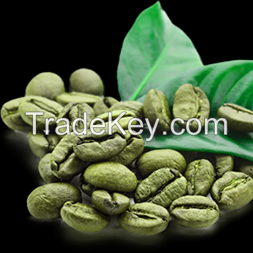 Green Coffee Beans